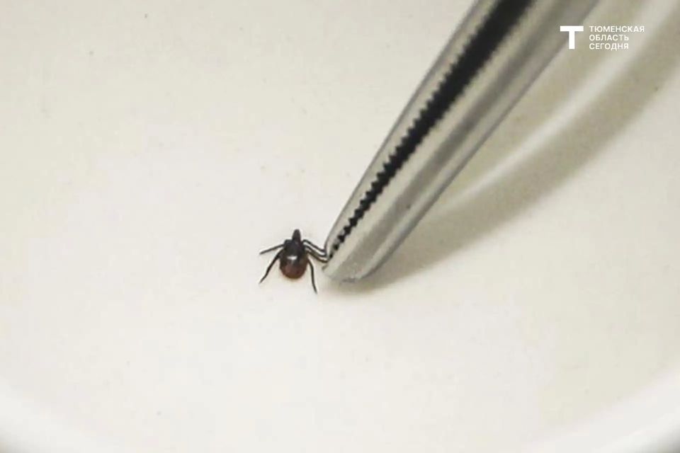 570 ������ ������ ������������� � ��������� ������� � ������ ������