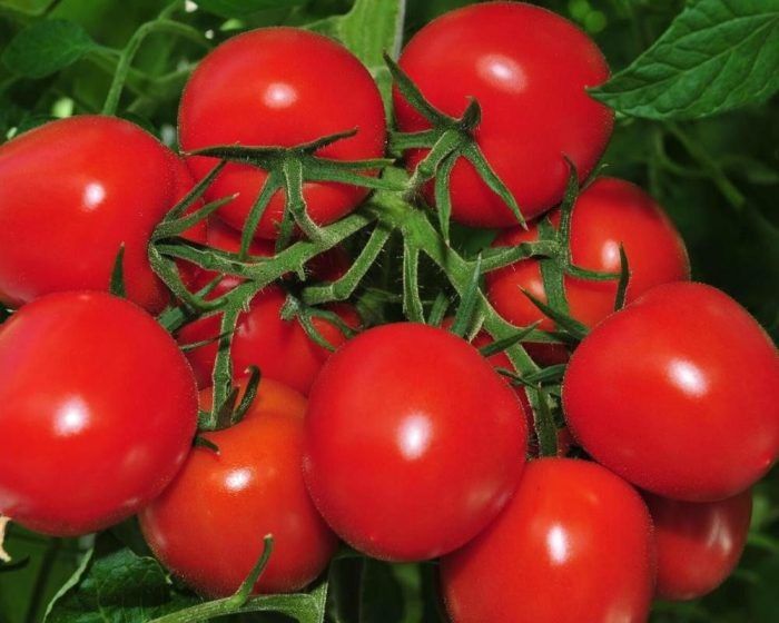 ��������� ����� ����: ������� ������ � ������ �� ����� �� ���������