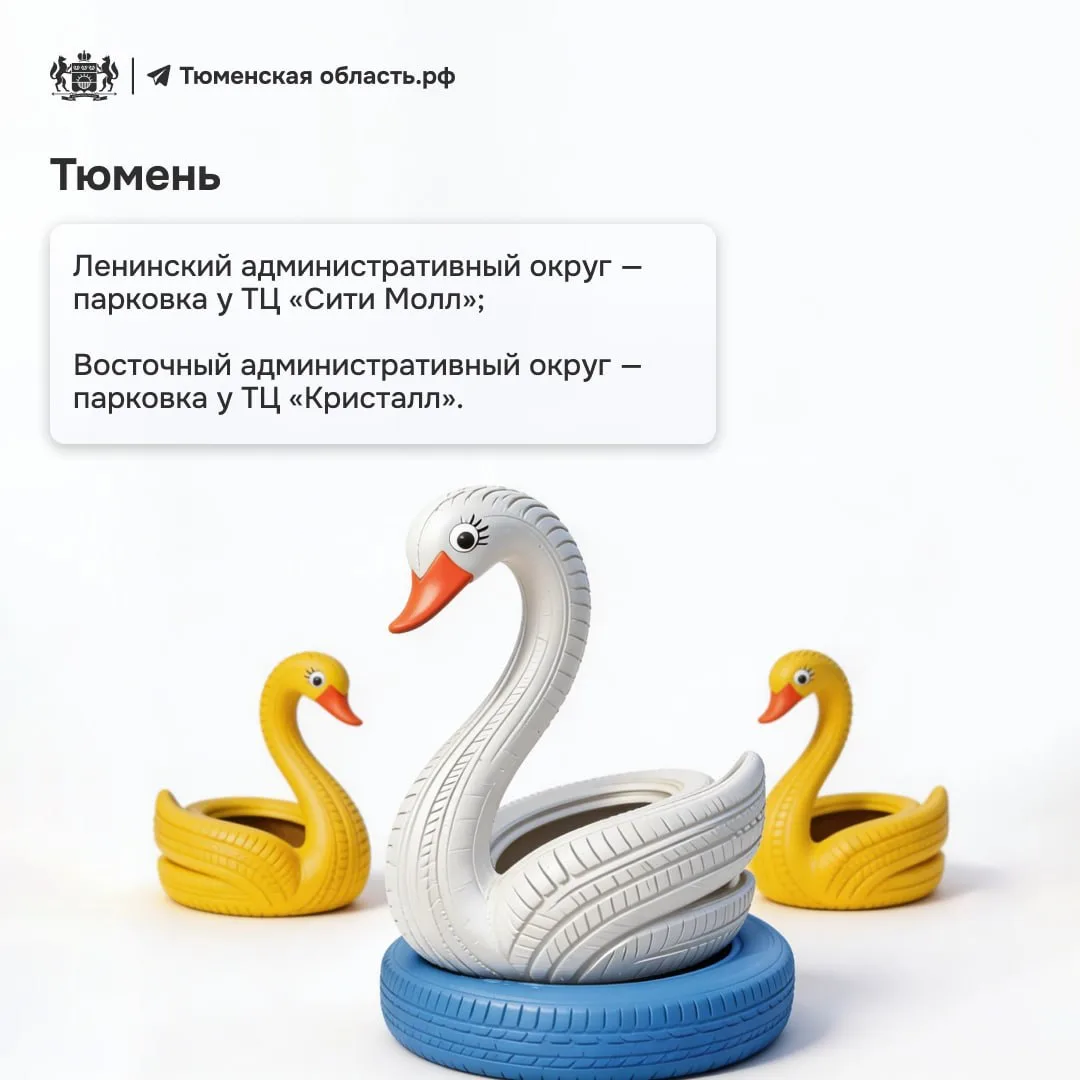 Тюменцы сдали более 70 тонн покрышек Тюменцы сдали более 70 тонн покрышек