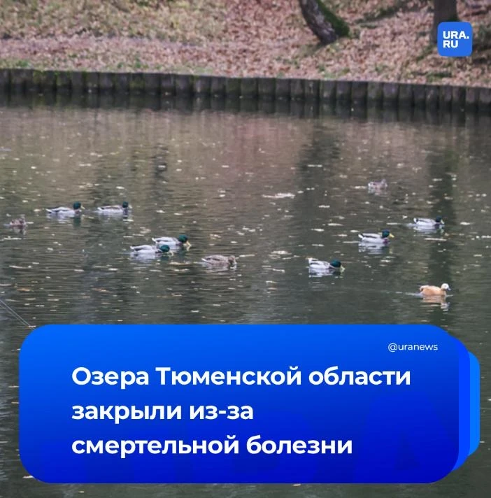 Четыре озера закрыли в Тюменской области