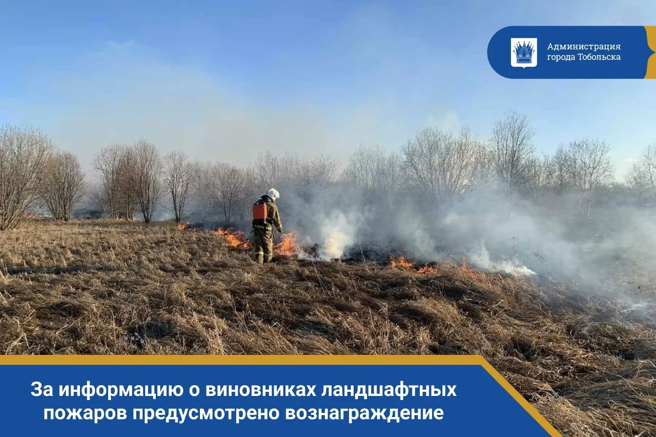 Внимание, тоболяки! В Тюменской области действует Порядок выплаты вознаграждений гражданам, предоставившим достоверную информацию о виновниках возникновения ландшафтных (природных) пожаров или содействовавшим их задержанию