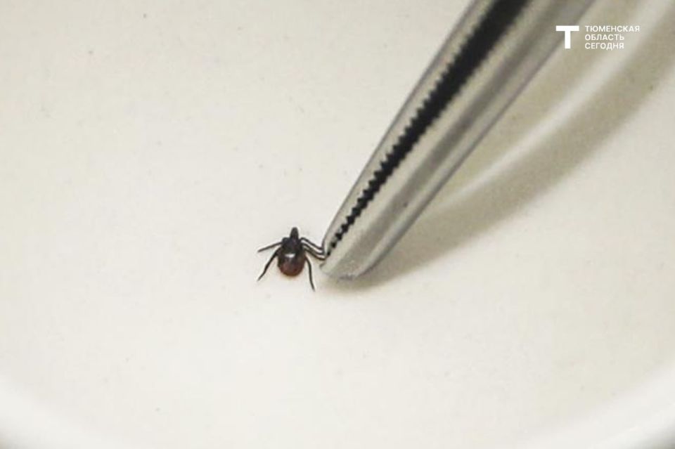 570 ������ ������ ������������� � ��������� ������� � ������ ������