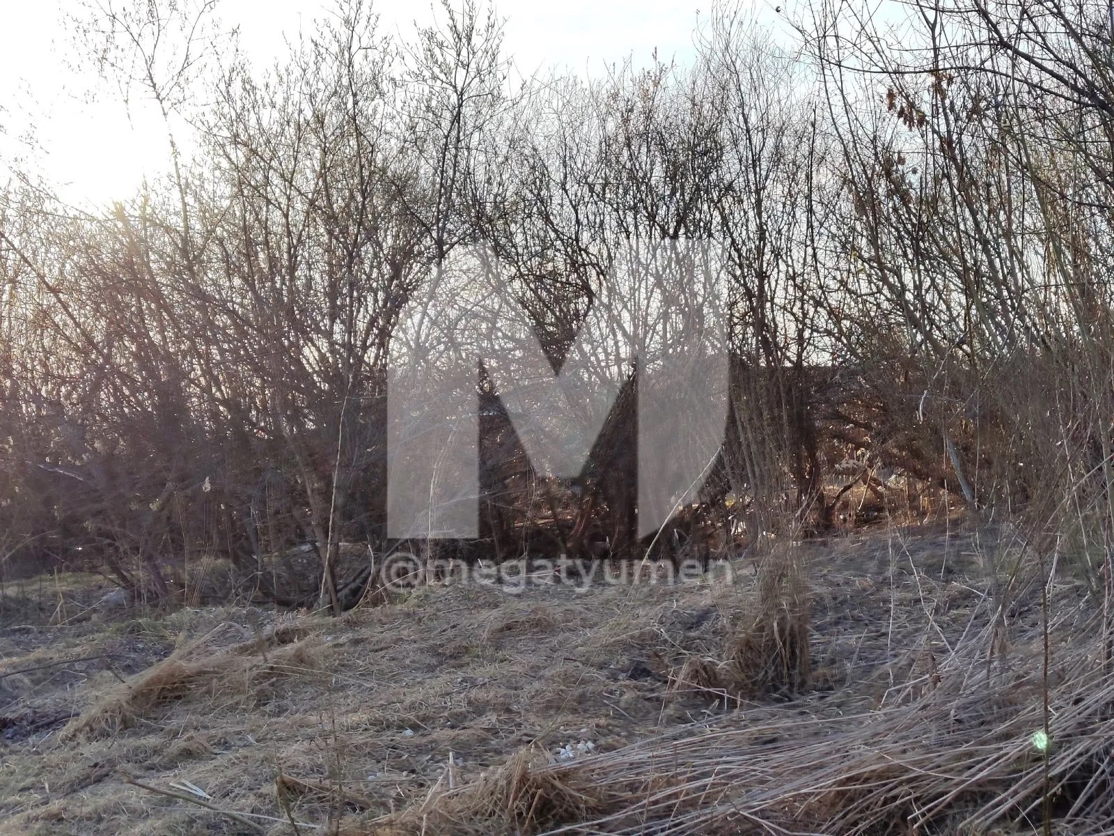 Мать младенца, найденного мертвым в сумке, установили: девочке было чуть больше месяца Мать младенца, найденного мертвым в сумке, установили: девочке было чуть больше месяца