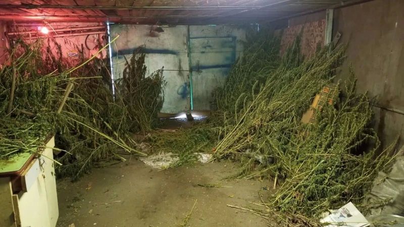 �� ���� �� ���������� ������� �����