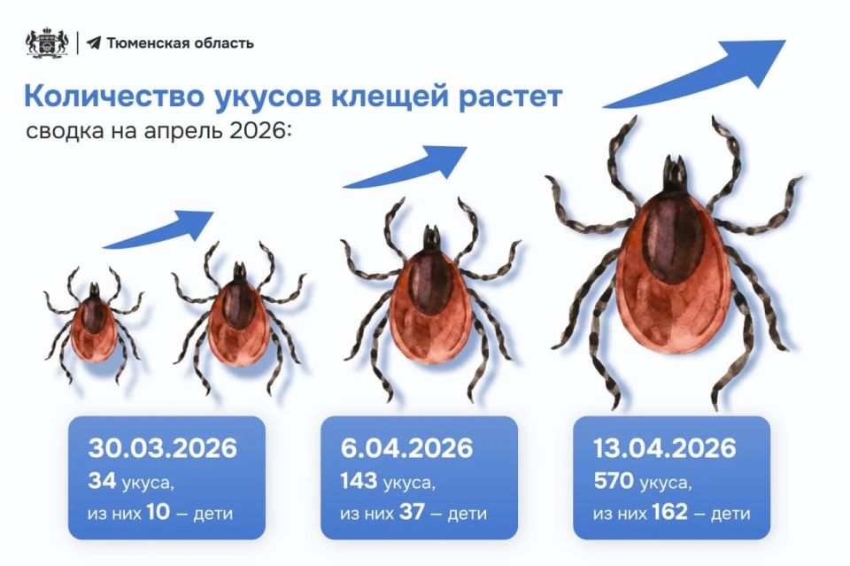 � ��������� ������� ������ ����� ��������� ��-�� ������ ������