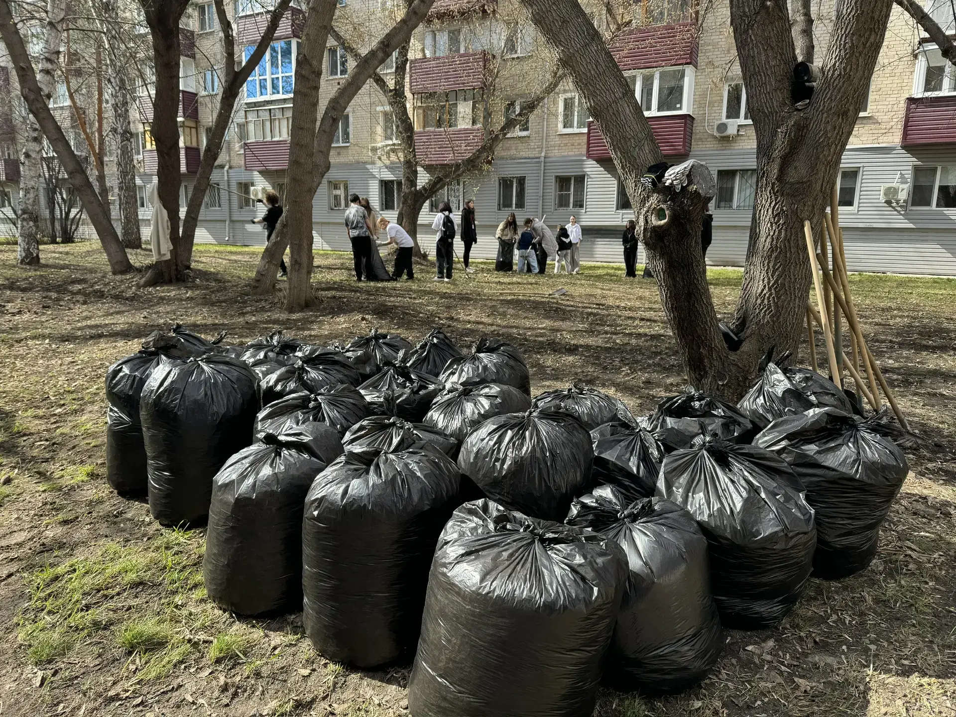 Экологически грамотная молодежь Экологически грамотная молодежь