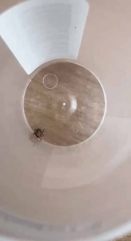 ���������� �������� ���� � ���� ����� ����� �����