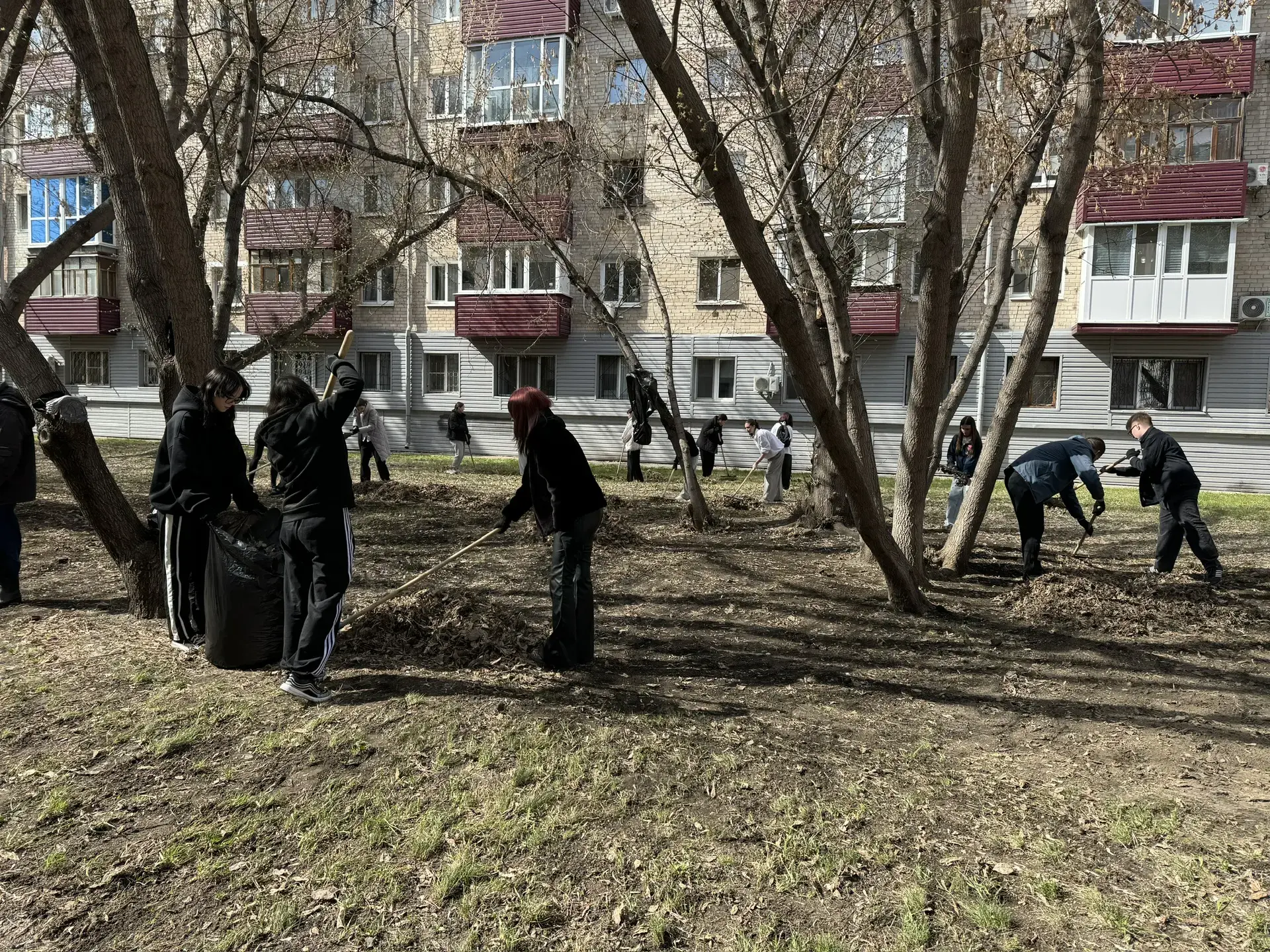 Экологически грамотная молодежь Экологически грамотная молодежь