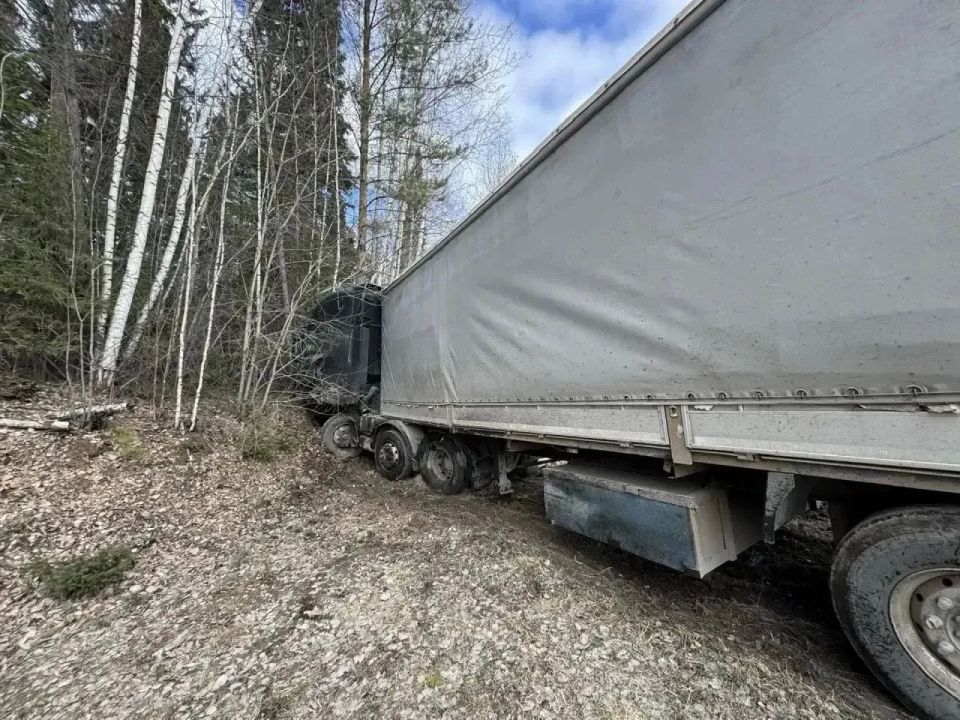 ����������� ������ ��������� �� ������ ������ - �����-��������