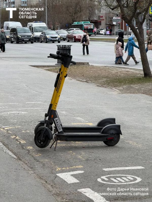 �� ������ ������ ��������� ���������������