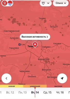 Ольха щекочет нос: аллергики в Тюмени уже чувствуют «весенние нотки»