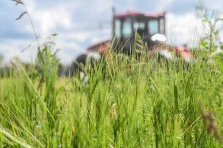 ��������� ������� �������� ������ ����� ����� �������� ��� �� ������ ����������� ������ � �������������� � 2025 ����