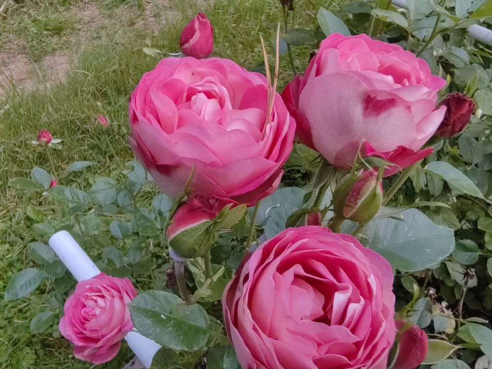 �� ������� ���������� ����!