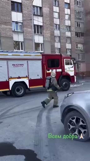 В Тюмени спасатель реанимировал котов, спасенных из огня