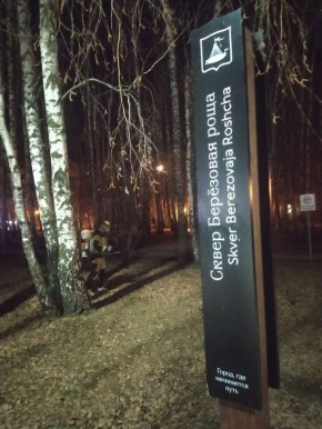 ������ ���������: � ������ �������� ������� � ������ ������� ������������ ������������ �������� ����������� (���������������) ���������