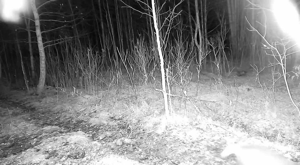 ������� �������� ����� � ��������� ����