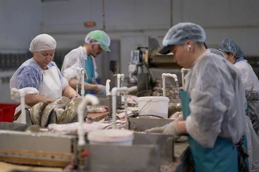 �������� ���������� ���������������� �������� ������� ������ ���� ����������� �������� ���� � �� ����� �� ������� ���������