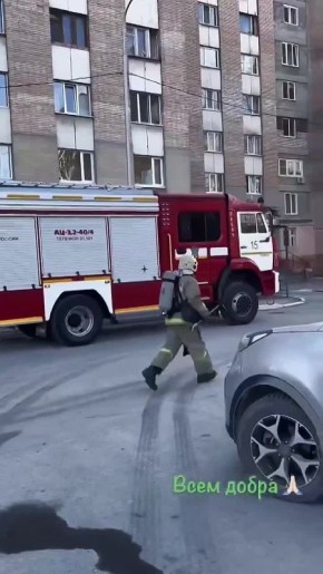 Спасатель в Тюмени при пожаре спас трех кошек, двум из них потребовалась реанимация – он их откачал