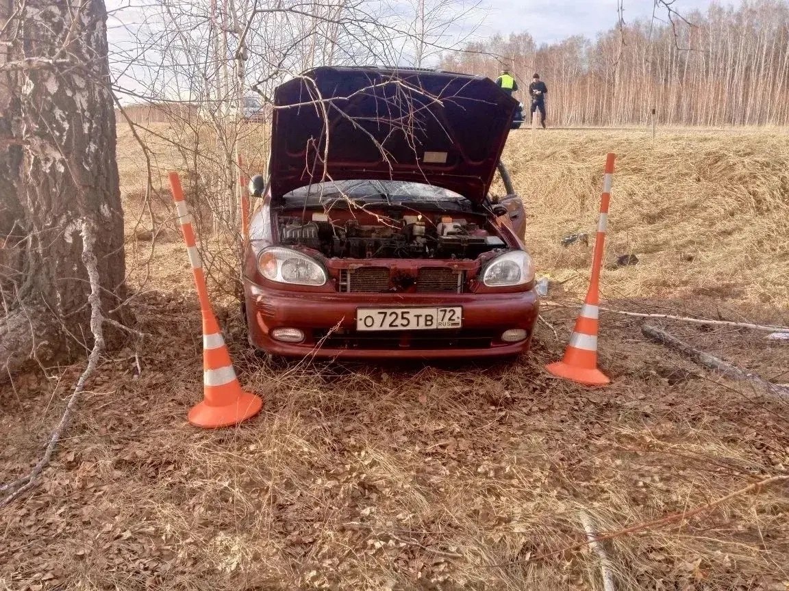 Пожилой пассажир погиб на тюменской дороге, оказавшись в кювете в переполненном авто