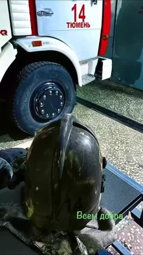 Каждая жизнь важна. Сотрудник МЧС спас трех кошек в Тюмени