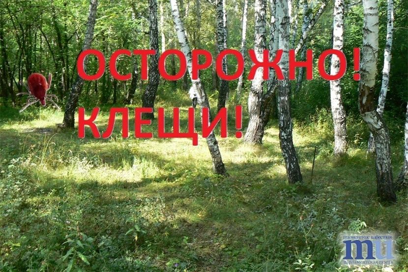 � ������ �������� ����������� ���������