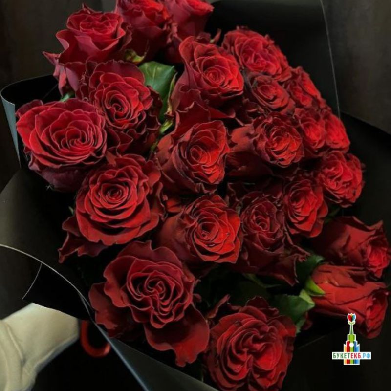 ���� ���: ��� �������� ����� �����