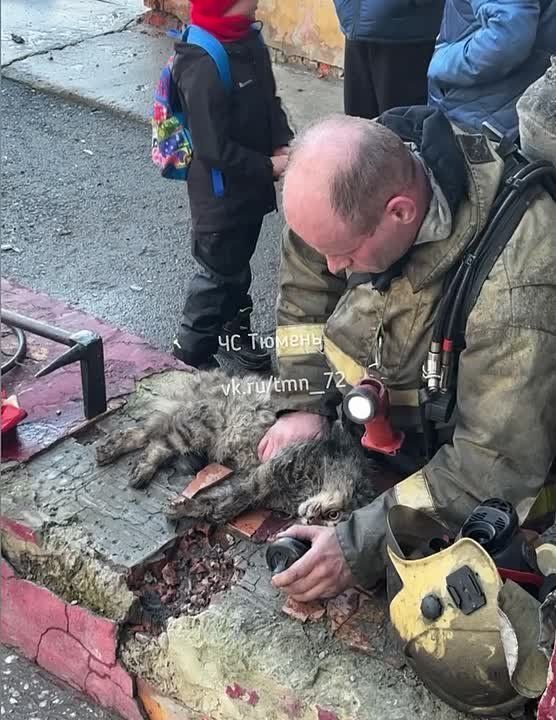 ��������� �������� ���� ����� ����