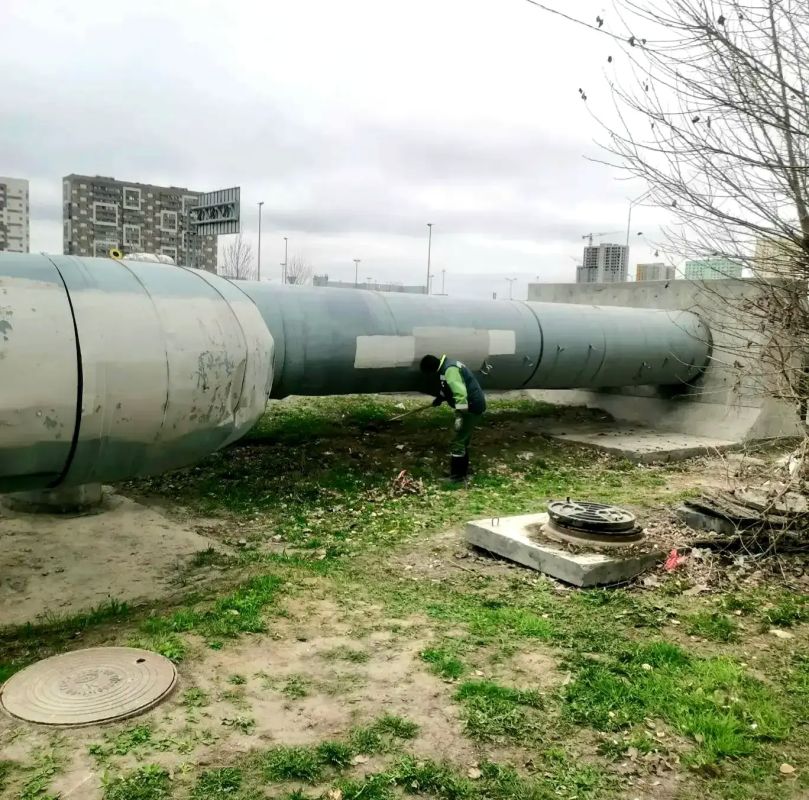 ������ ����� � ���� �������: ��������������� ������� �������