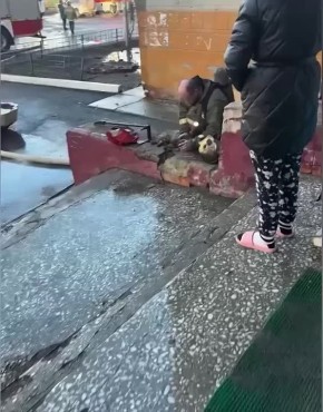 ��������� ��������� ������������ ������ ����� ������ �� ����������, 220