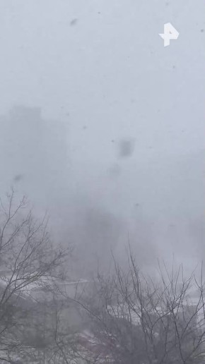 ��, ���. ��� ������������� �������� �� ��������� ������ - �����, ������ ���� � �����