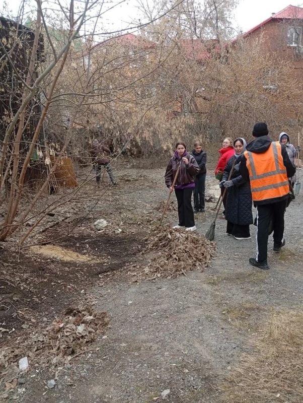 ������� ����������� ��������: �����!