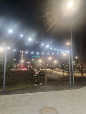 ������ ���������� ����������������� ������ �. ������ �������� � ���������� ����������� ��������� ���������� ������ �����������