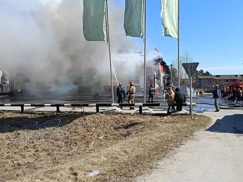 ����� ���� ����� � ������ � ��� ��������� �� �������� �����