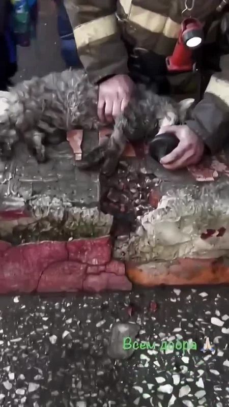 �������� � ������ ��� ������� �������� ���� ���� �����, �������� �����-������ ����� �� �� ��������� �������