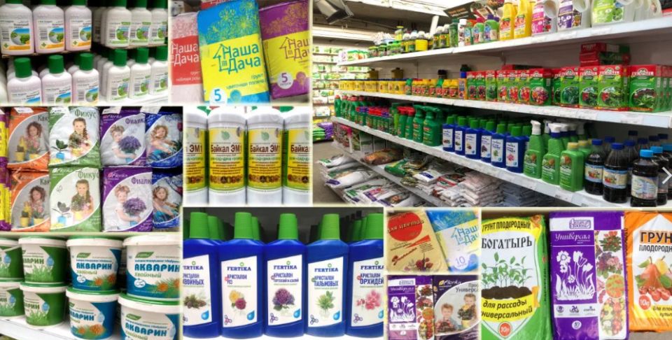 ��� ������� ���������: ������������ ����������� ��� ��������