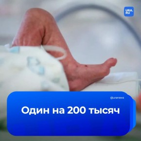 � ������ ����� ������� ��������� ������������ ����������� � �������������� � �������-�������� ��������