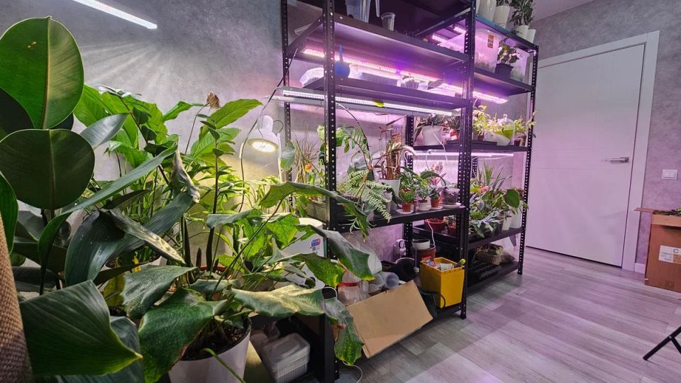 ����������� ������� ����� �� ��������� ����������: �� �������� �� ���������� �������