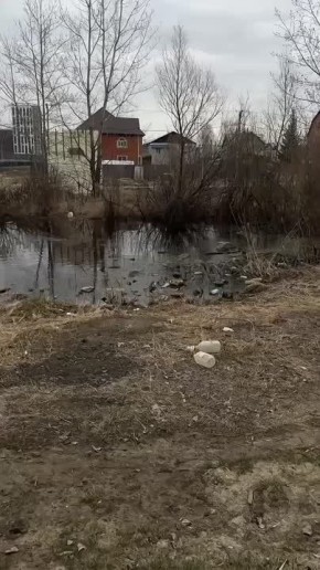 � ������ ��������� ������ ���������� � ���� ������ � ������� � ������ ����� ����������