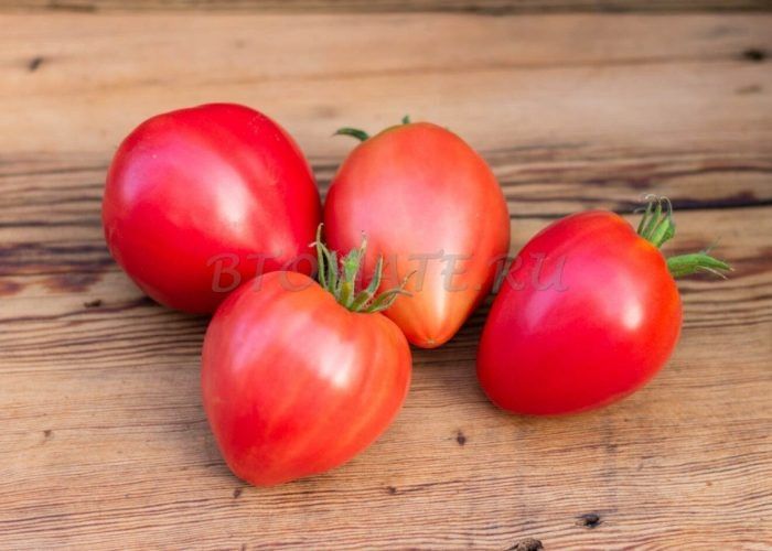 ����� ��������� ������: ��� �������� ������� � ������� �����