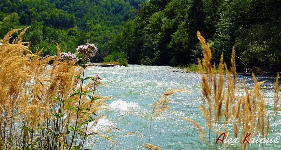 ����������� � ������: �������� ���� ���� � � ���������� �����