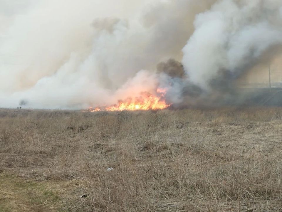 ��������� ����� ������������ � ������������ ������� ��������� ����������� ������