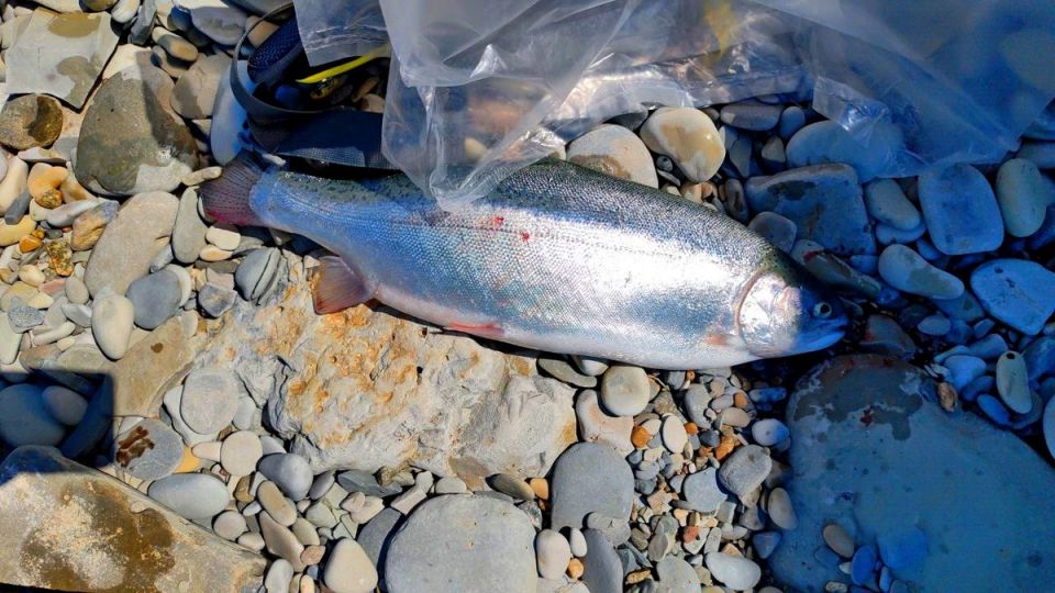 ��� ����� �������� ������ � ����� ��� �����