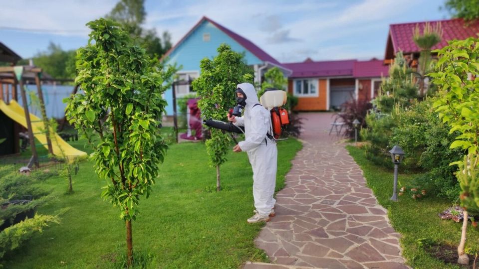 ������ ������� ����� ��� ���������� ��������� ����: ������ �� ����������