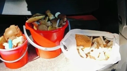 ����� ������ ������ ����������� ��������! ����� ����� ����� ����� � ��������� ������� ������