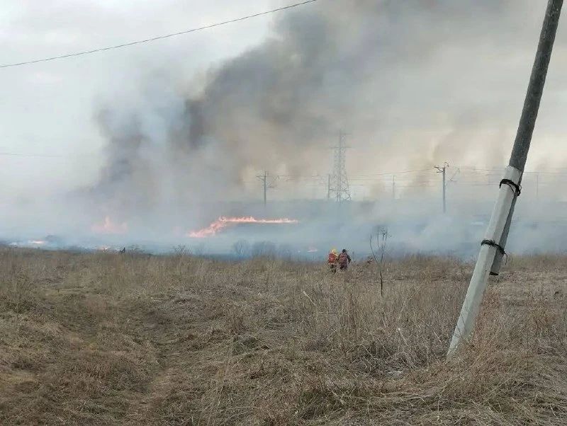 ����������� ����� ���������� ������� ������� ���������