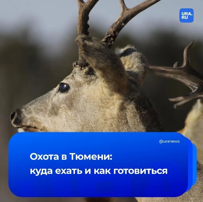 ����� �������� ����� ������� � ��������� �������