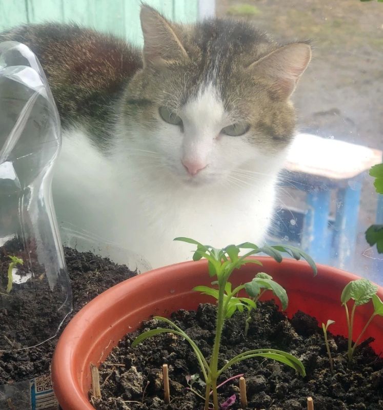 ������ ��������� �� ���. ��� �� ����� � ��������, �� ����� ������ ������ ��������, ������� ����� ������� ��� ����� ���������