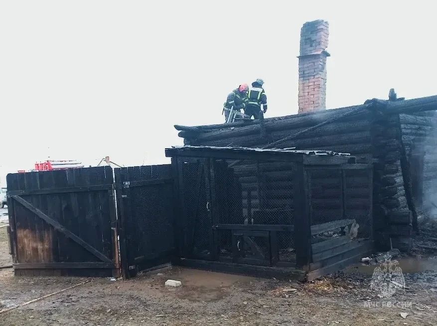 ����� � ��������������� ������ ���� ����� ��������