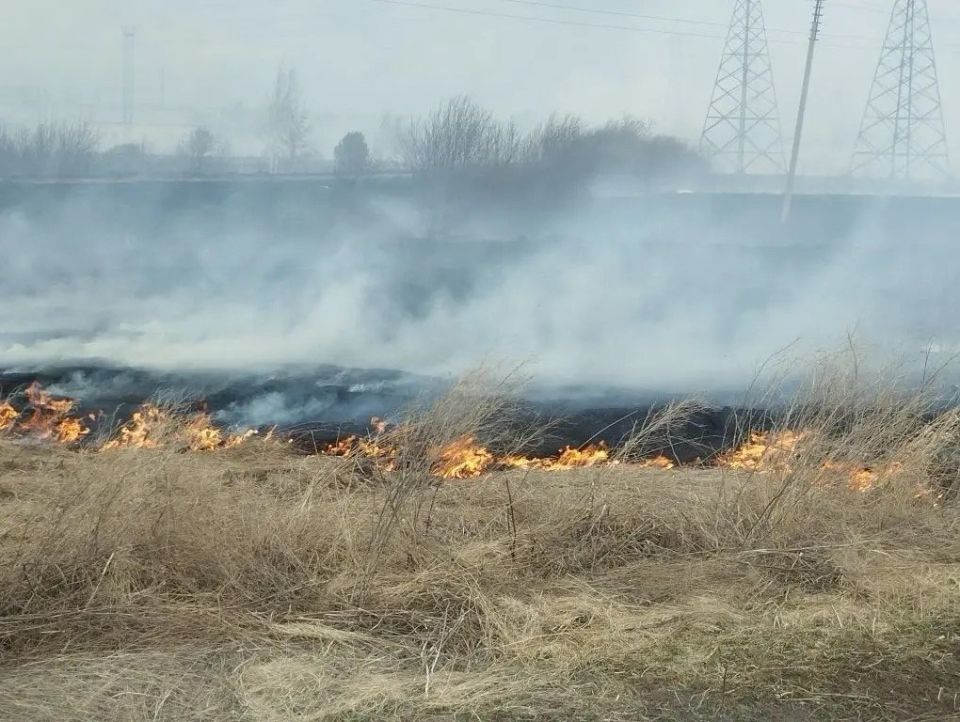 � �. ��������� ����������� ������ �������� ����������� ����� � ����� �������� � ����� �����