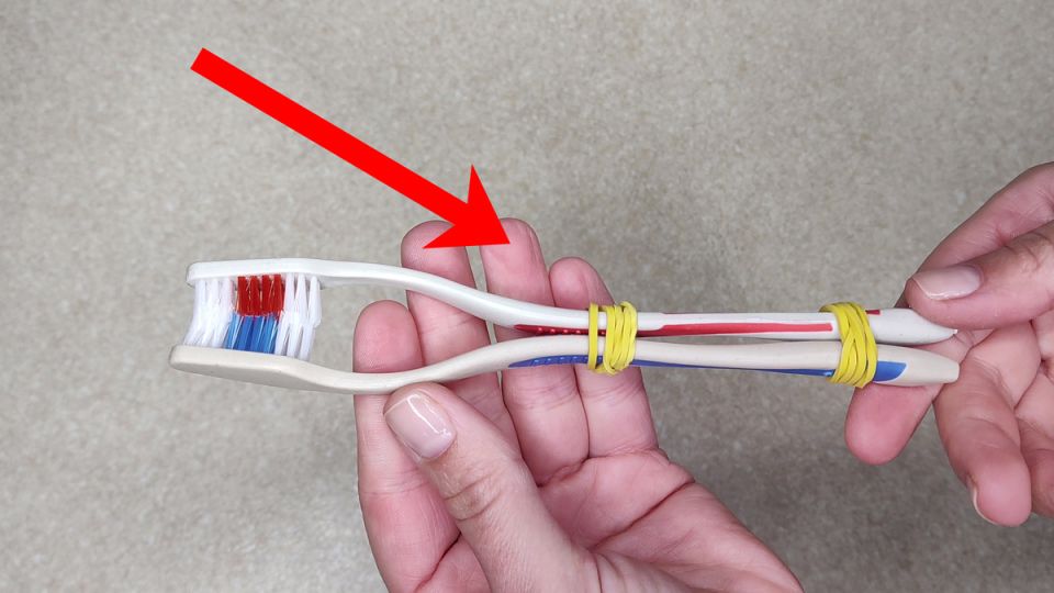 ��� ������ ������ ����� ����� ��������� ���� �����: ����������� ��������